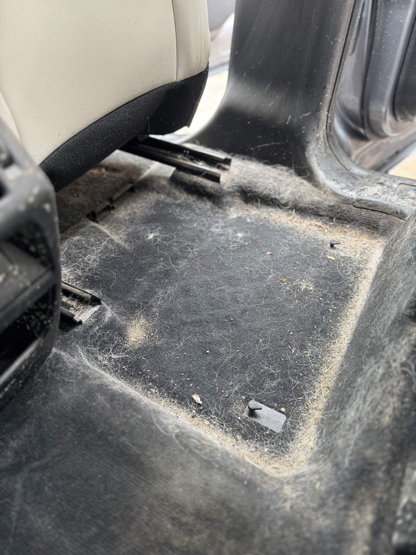Vehicle carpet before pet hair removal